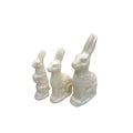 White Solid Rabbits