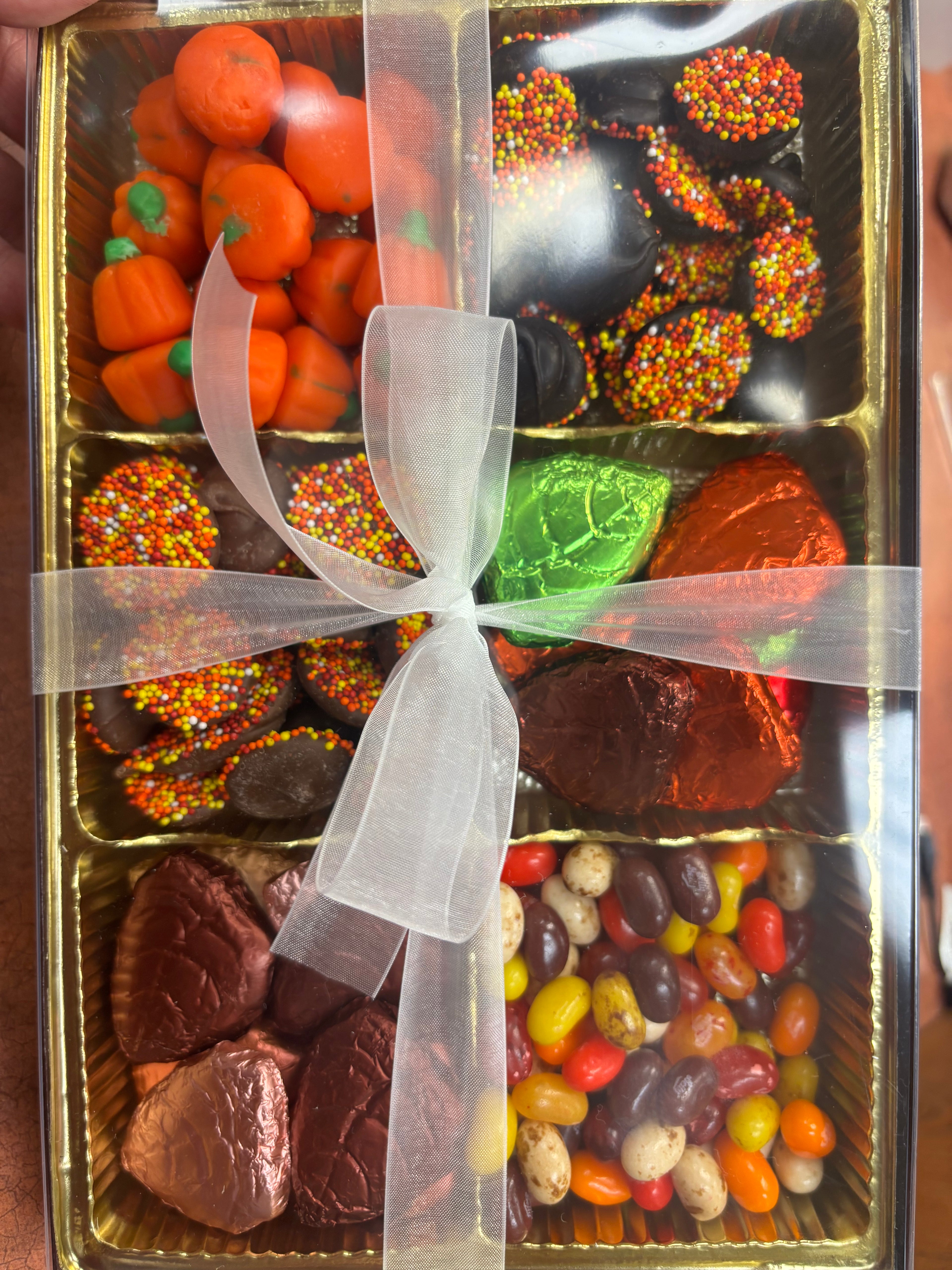 6 Section Box