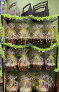 Easter Baskets