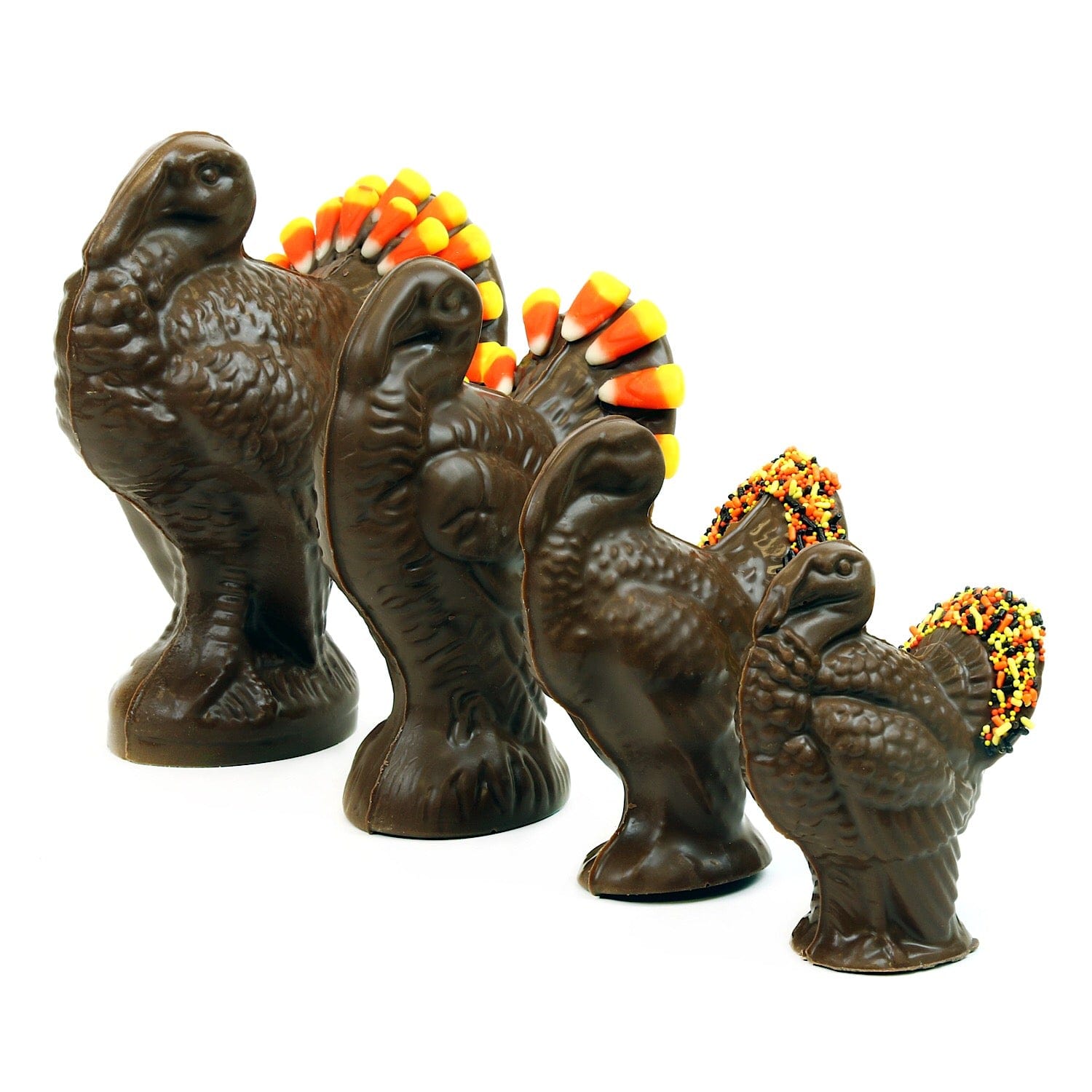 Solid Turkeys