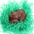 Chocolate Frog