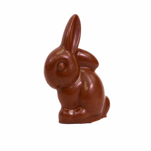 Nibbles the Bunny
