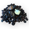 Chocolate Covered Raisins
